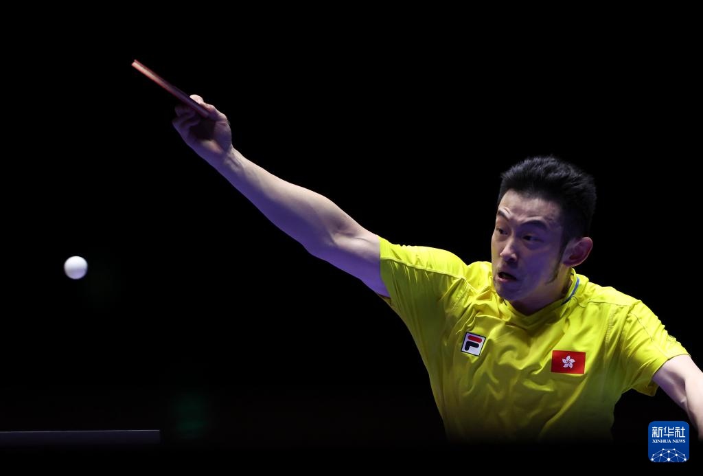 这也为她赢 这也为她赢